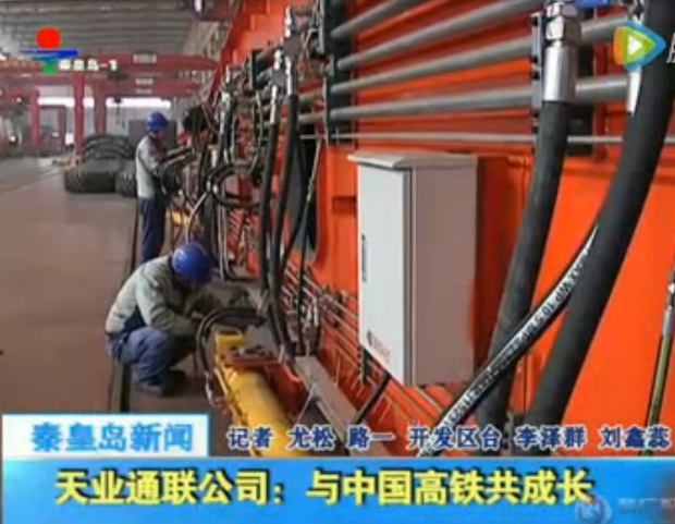 DG����(�й���)����