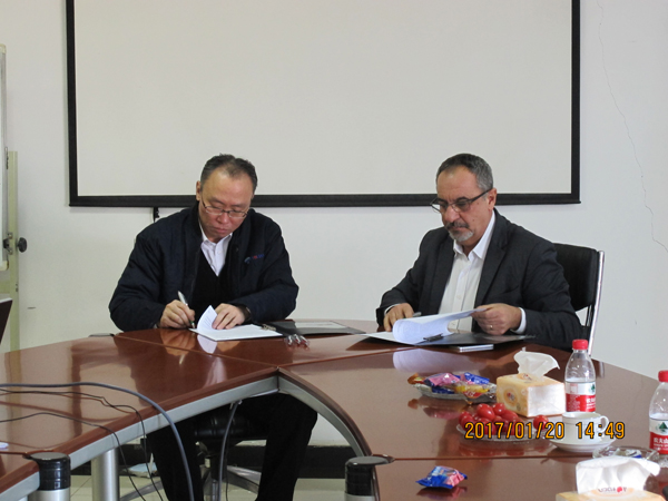 DG����(�й���)����