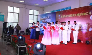 DG����(�й���)����