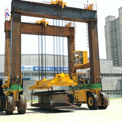 DG����(�й���)����